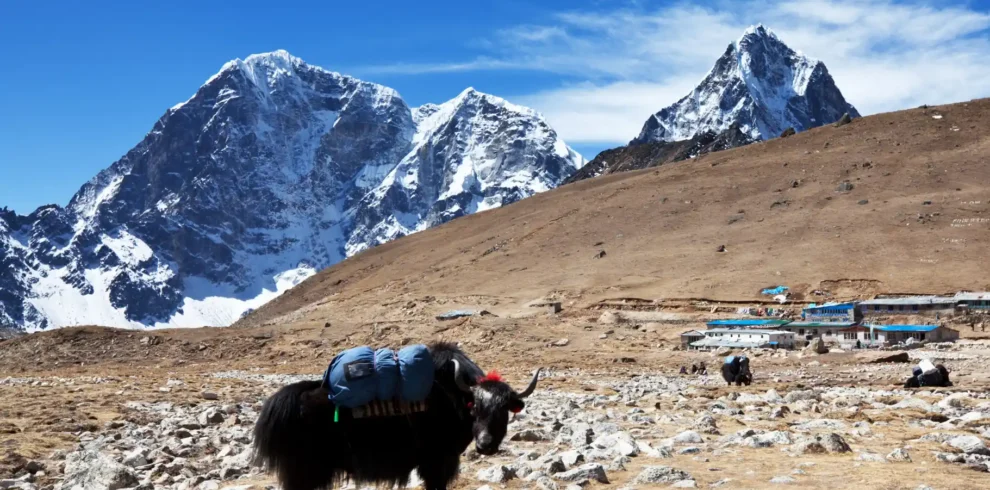 afra-travels-upper-mustang